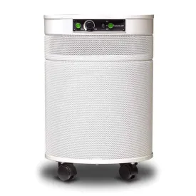P600 TitanClean Air Purifier for Pathogens, Mold & Chemicals by Airpura